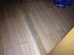 回南天地板潮湿如何解决办法（回南天地板潮湿如何注意安全）,回南天地板潮湿如何解决办法（回南天地板潮湿如何注意安全）,第2张