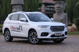 哈弗h2参数（哈弗h2参配）,哈弗h2参数（哈弗h2参配）,第3张