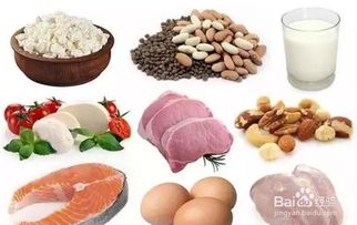 养肝护肝吃什么最好（养肝护肝的最好方法）,养肝护肝吃什么最好（养肝护肝的最好方法）,第3张