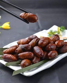 油炸蚕蛹怎么炸的酥脆(油炸蚕蛹怎么做),第2张 油炸蚕蛹怎么炸的酥脆(油炸蚕蛹怎么做),油炸蚕蛹怎么炸的酥脆(油炸蚕蛹怎么做),第2张