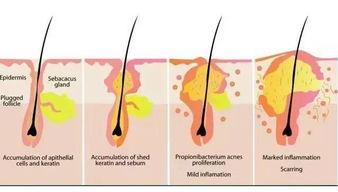 颊县皮肤科(皮肤科的电话),第1张 颊县皮肤科(皮肤科的电话),颊县皮肤科(皮肤科的电话),第1张
