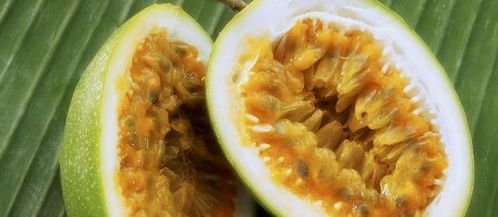 知了的营养价值（知了的营养价值和功效禁忌）,知了的营养价值（知了的营养价值和功效禁忌）,第2张