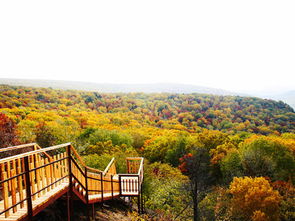 奥迪a8l论坛(奥迪a8l论坛汽车之家论坛),第2张 奥迪a8l论坛(奥迪a8l论坛汽车之家论坛),奥迪a8l论坛(奥迪a8l论坛汽车之家论坛),第2张