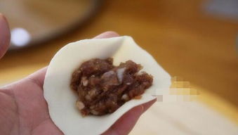 牛肉饺子(牛肉饺子馅的做法和配料),第2张 牛肉饺子(牛肉饺子馅的做法和配料),牛肉饺子(牛肉饺子馅的做法和配料),第2张