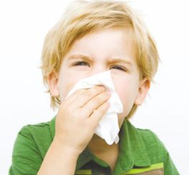 大航海世纪(大航海世纪java),第3张 大航海世纪(大航海世纪java),大航海世纪(大航海世纪java),第3张