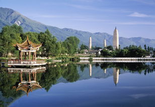 燕窝的功效与作用(燕窝的功效与作用及营养知乎),第3张 燕窝的功效与作用(燕窝的功效与作用及营养知乎),燕窝的功效与作用(燕窝的功效与作用及营养知乎),第3张