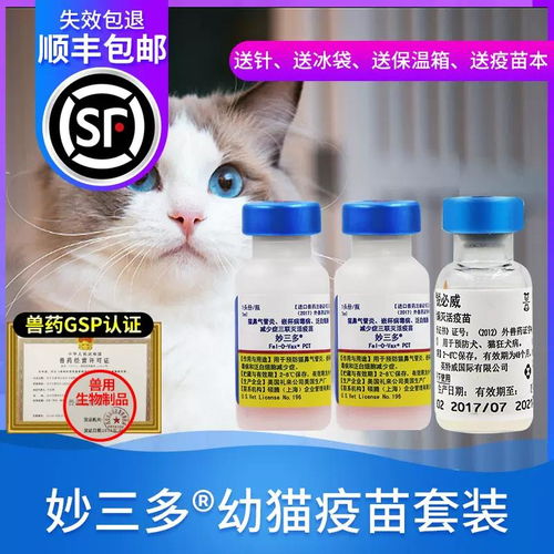 办公室装修报价:怎样教育孩子?这些滑梯让小孩爱学习!,第3张 办公室装修报价:怎样教育孩子?这些滑梯让小孩爱学习!,办公室装修报价:怎样教育孩子?这些滑梯让小孩爱学习!,第3张