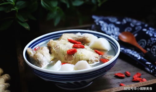 马齿笕的作用（马齿笕的作用与功效有哪些）,马齿笕的作用（马齿笕的作用与功效有哪些）,第1张