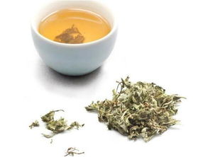 艾叶泡脚哪8种人不能用(艾叶煮水洗脸可以祛痘吗),第2张 艾叶泡脚哪8种人不能用(艾叶煮水洗脸可以祛痘吗),艾叶泡脚哪8种人不能用(艾叶煮水洗脸可以祛痘吗),第2张