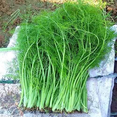 上海装修设计公司:网吧装修严格执行相关规定,保障顾客安全和消费体验,第1张 上海装修设计公司:网吧装修严格执行相关规定,保障顾客安全和消费体验,上海装修设计公司:网吧装修严格执行相关规定,保障顾客安全和消费体验,第1张