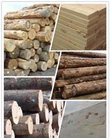 杉木板(杉木板材),第3张 杉木板(杉木板材),杉木板(杉木板材),第3张