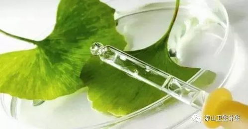 白果叶（白果叶的功效与主治）,白果叶（白果叶的功效与主治）,第2张