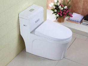 马桶堵了但还缓慢下水（马桶堵了但还缓慢下水的原因）,马桶堵了但还缓慢下水（马桶堵了但还缓慢下水的原因）,第3张