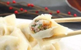 羊肉饺子什么馅最搭（羊肉饺子什么馅最搭配最好吃）,羊肉饺子什么馅最搭（羊肉饺子什么馅最搭配最好吃）,第3张