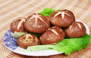 肠炎吃什么食物好(秋季肠炎吃什么食物好),第3张 肠炎吃什么食物好(秋季肠炎吃什么食物好),肠炎吃什么食物好(秋季肠炎吃什么食物好),第3张