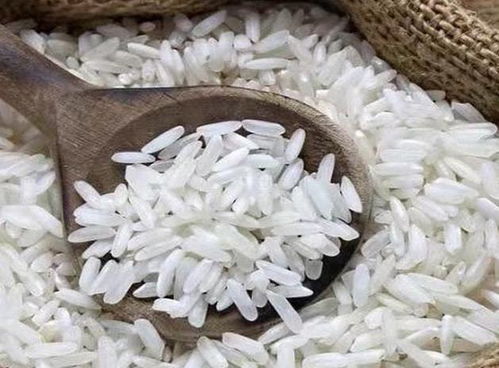 b501（莱克吉米b501）,b501（莱克吉米b501）,第1张