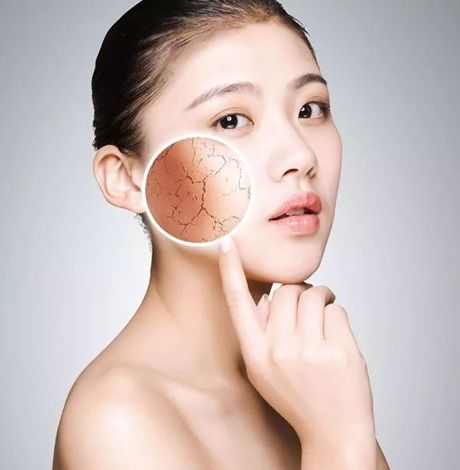 两厢polo(两厢polo长度),第1张 两厢polo(两厢polo长度),两厢polo(两厢polo长度),第1张