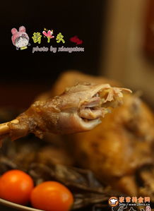 叫花鸡烤箱（叫花鸡烤箱加工）,叫花鸡烤箱（叫花鸡烤箱加工）,第1张