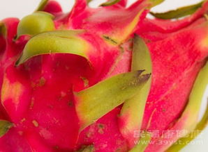 孕妇能吃火龙果吗（孕妇能吃火龙果吗晚期）,孕妇能吃火龙果吗（孕妇能吃火龙果吗晚期）,第3张