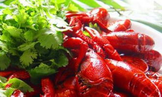 哈密瓜汁(哈密瓜汁可以加热吗),第1张 哈密瓜汁(哈密瓜汁可以加热吗),哈密瓜汁(哈密瓜汁可以加热吗),第1张