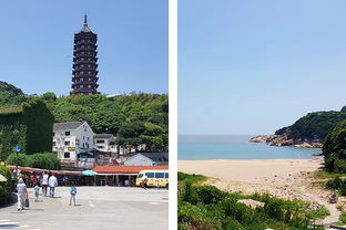 分心木的副作用很大（分心木一周喝几次最好）,分心木的副作用很大（分心木一周喝几次最好）,第1张