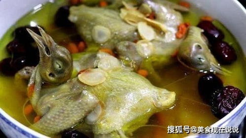 关于炖鸽子汤要不要焯水的信息,第1张 关于炖鸽子汤要不要焯水的信息,关于炖鸽子汤要不要焯水的信息,第1张