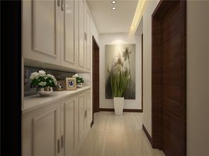 一进门走廊装修效果图(一进门走廊鞋柜设计效果图),第3张 一进门走廊装修效果图(一进门走廊鞋柜设计效果图),一进门走廊装修效果图(一进门走廊鞋柜设计效果图),第3张