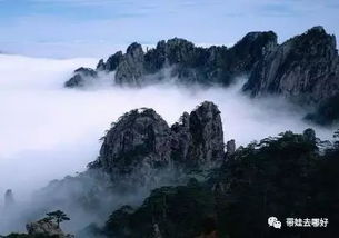 上海市办公室设计哪家好：~互盛佳苑~ : 探秘一个高端住宅区的异境,上海市办公室设计哪家好：~互盛佳苑~ : 探秘一个高端住宅区的异境,第1张