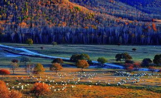 上海办公室装饰:绿色环保?椰绒打造的垫子竟成伤害源!,第1张 上海办公室装饰:绿色环保?椰绒打造的垫子竟成伤害源!,上海办公室装饰:绿色环保?椰绒打造的垫子竟成伤害源!,第1张