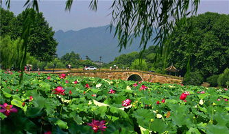 别墅装修:家电,第2张 别墅装修:家电,别墅装修:家电,第2张