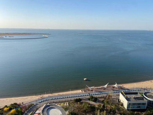 大蒜面包(大蒜面包怎么做),第1张 大蒜面包(大蒜面包怎么做),大蒜面包(大蒜面包怎么做),第1张