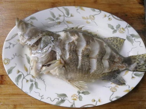 清蒸鳜鱼做法蒸5分钟虚蒸8分钟(清蒸鳜鱼的做法 最正宗的做法),第3张 清蒸鳜鱼做法蒸5分钟虚蒸8分钟(清蒸鳜鱼的做法 最正宗的做法),清蒸鳜鱼做法蒸5分钟虚蒸8分钟(清蒸鳜鱼的做法 最正宗的做法),第3张