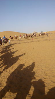 中卫沙坡头门票(中卫沙坡头门票优惠政策2023),第1张 中卫沙坡头门票(中卫沙坡头门票优惠政策2023),中卫沙坡头门票(中卫沙坡头门票优惠政策2023),第1张