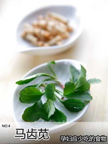 什么食物是收紧皮肤的(吃什么食物收紧皮肤),第2张 什么食物是收紧皮肤的(吃什么食物收紧皮肤),什么食物是收紧皮肤的(吃什么食物收紧皮肤),第2张