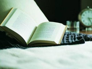 买便宜货(买便宜货的坏处),第1张 买便宜货(买便宜货的坏处),买便宜货(买便宜货的坏处),第1张