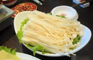 金帝集成灶加盟(金帝集成灶加盟费多少钱),第3张 金帝集成灶加盟(金帝集成灶加盟费多少钱),金帝集成灶加盟(金帝集成灶加盟费多少钱),第3张