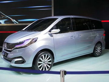 红烧狮子头的做法最正宗的做法(红烧狮子头的做法大全家常做法窍门),第1张 红烧狮子头的做法最正宗的做法(红烧狮子头的做法大全家常做法窍门),红烧狮子头的做法最正宗的做法(红烧狮子头的做法大全家常做法窍门),第1张