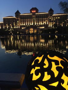 天津东丽湖欢乐谷门票多少钱一张(天津东丽湖欢乐谷门票多少钱一张),第3张 天津东丽湖欢乐谷门票多少钱一张(天津东丽湖欢乐谷门票多少钱一张),天津东丽湖欢乐谷门票多少钱一张(天津东丽湖欢乐谷门票多少钱一张),第3张