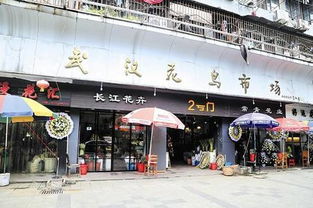 板房材料(板房材料清单),第2张 板房材料(板房材料清单),板房材料(板房材料清单),第2张