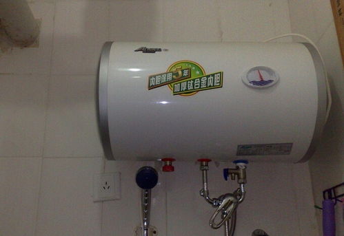 蓝菊根(蓝菊根茶野生的在哪买上正品),第1张 蓝菊根(蓝菊根茶野生的在哪买上正品),蓝菊根(蓝菊根茶野生的在哪买上正品),第1张