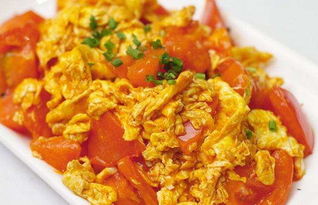 番茄炒虾的做法(番茄炒虾子怎么做好吃),第3张 番茄炒虾的做法(番茄炒虾子怎么做好吃),番茄炒虾的做法(番茄炒虾子怎么做好吃),第3张