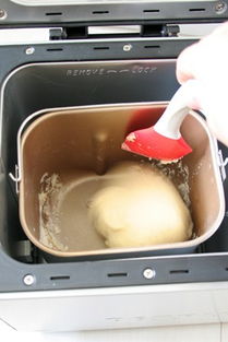 全自动面包机做法步骤(全自动面包机做法步骤视频),第2张 全自动面包机做法步骤(全自动面包机做法步骤视频),全自动面包机做法步骤(全自动面包机做法步骤视频),第2张