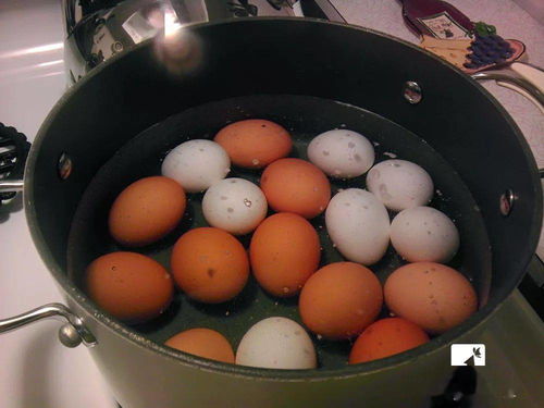 鸡蛋煮几分钟能熟冷水还是热水(鸡蛋煮几分钟就好啦),第1张 鸡蛋煮几分钟能熟冷水还是热水(鸡蛋煮几分钟就好啦),鸡蛋煮几分钟能熟冷水还是热水(鸡蛋煮几分钟就好啦),第1张