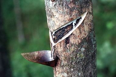 什么是生漆(什么是生漆过敏),第2张 什么是生漆(什么是生漆过敏),什么是生漆(什么是生漆过敏),第2张