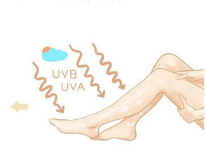 脱毛医美(脱毛医美医院和正规医院哪个好),第2张 脱毛医美(脱毛医美医院和正规医院哪个好),脱毛医美(脱毛医美医院和正规医院哪个好),第2张