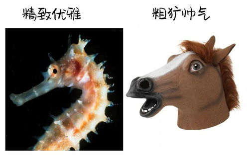 海马m2(海马m2OBD位置),第2张 海马m2(海马m2OBD位置),海马m2(海马m2OBD位置),第2张