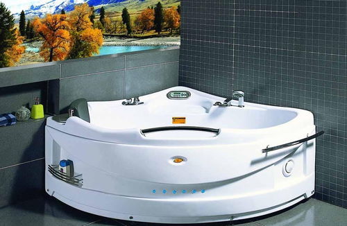 洁具价格(洁具价格范围),第1张 洁具价格(洁具价格范围),洁具价格(洁具价格范围),第1张