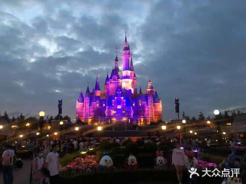 上海迪士尼地址（上海迪士尼地址在哪个区哪个街道）,上海迪士尼地址（上海迪士尼地址在哪个区哪个街道）,第3张