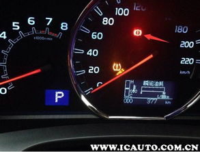 上海办公室装修:掌握这三个技巧,让家居植物助你招财纳福,第3张 上海办公室装修:掌握这三个技巧,让家居植物助你招财纳福,上海办公室装修:掌握这三个技巧,让家居植物助你招财纳福,第3张