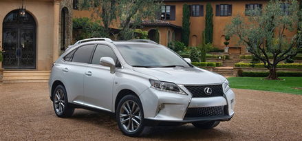 sedici(delicious),第2张 sedici(delicious),sedici(delicious),第2张